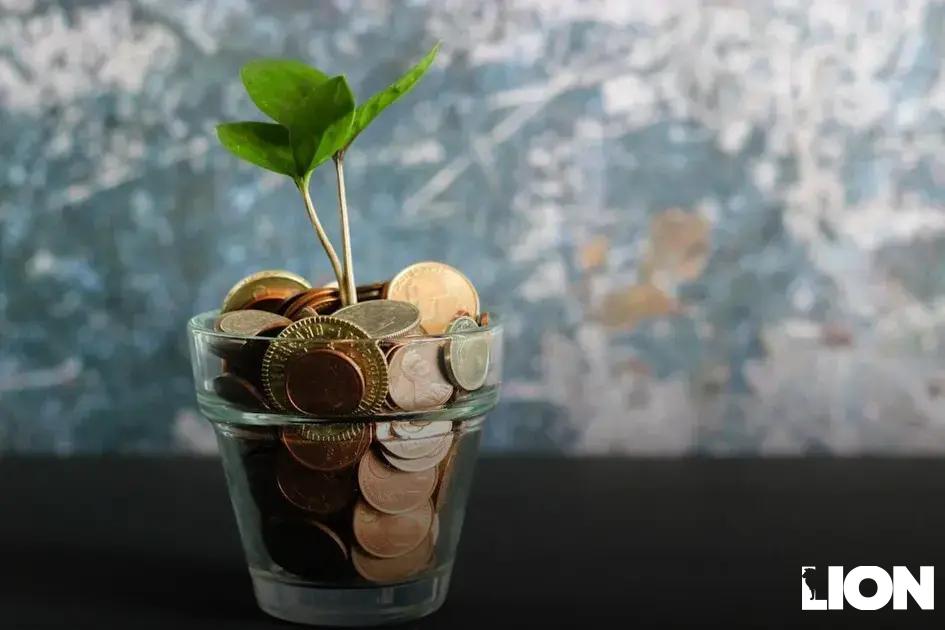 Cultural Experiences and Warm Climate