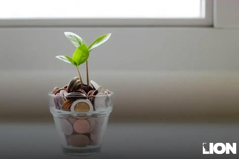 Strategies to Manage Emotional Spending