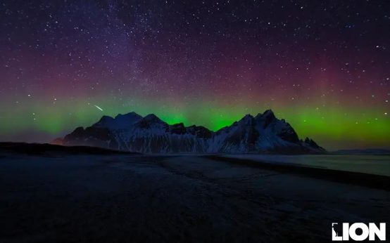 Bitcoin in 2025: Still Worth the Investment Journey?