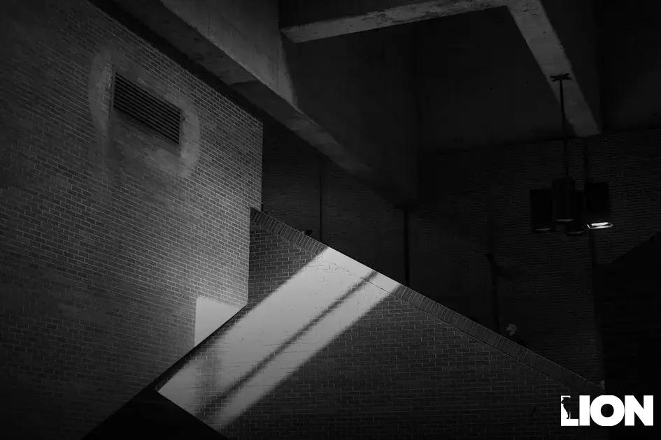 Can Human Advisors Stay Relevant?