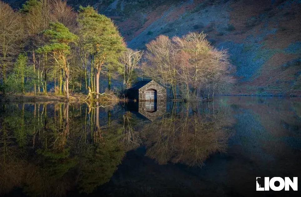 Smart Strategies for Limited Budgets