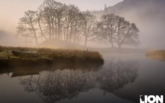 The Rise of Thematic ETFs: AI, Clean Energy & Biotech Trends