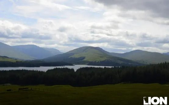 Digital Real Estate: The New Frontier of Investing