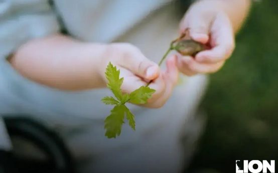 How Everyday People Are Becoming Millionaires Online Easily