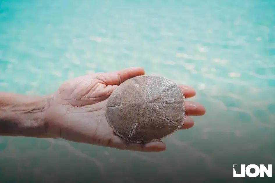 Strategies to Protect Your Assets