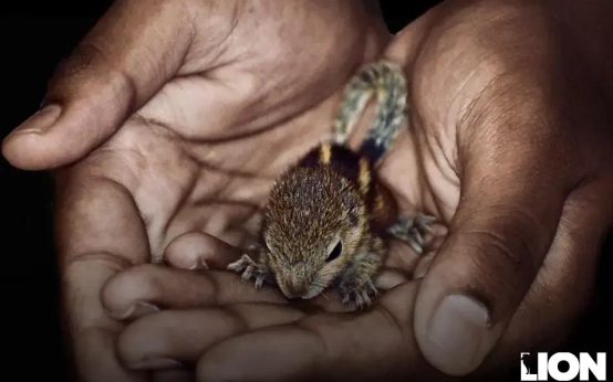 Why Index Funds Still Outperform Most Investors Today